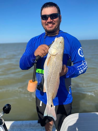 Gettin' On 'Em Down In Matagorda In Matagorda