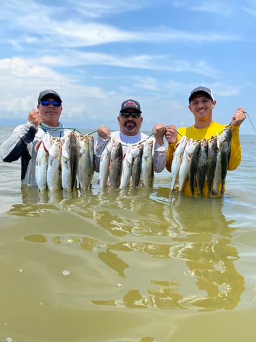 Gettin' On 'Em Down In Matagorda In Matagorda