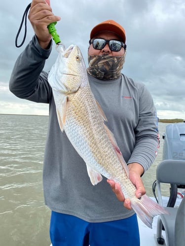 Gettin' On 'Em Down In Matagorda In Matagorda