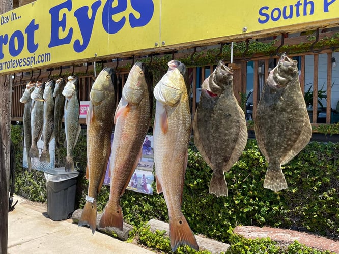 Laguna Madre Adventure in South Padre Island