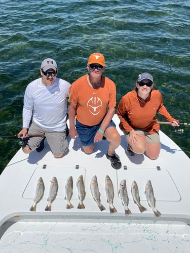 Laguna Madre Adventure In South Padre Island