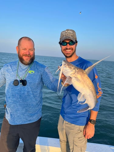 Laguna Madre Adventure In South Padre Island