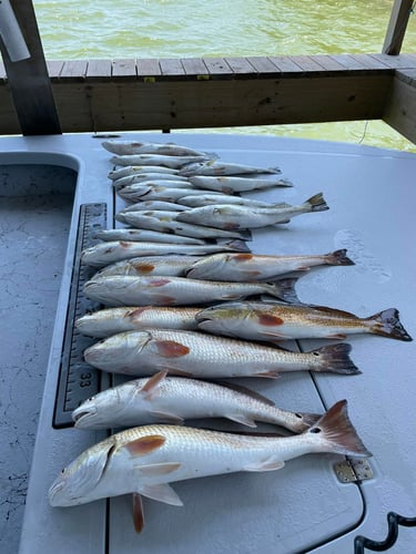 Laguna Madre Adventure in South Padre Island