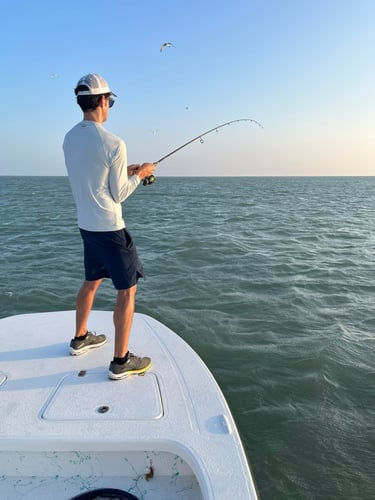 Laguna Madre Adventure in South Padre Island