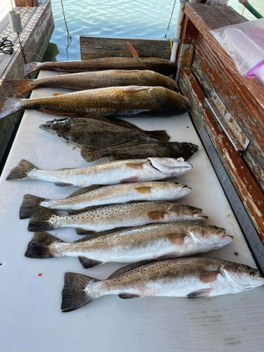 Laguna Madre Adventure in South Padre Island