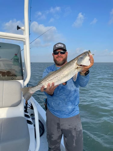 Laguna Madre Adventure in South Padre Island