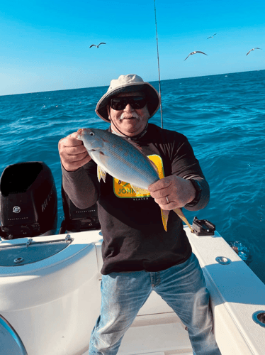 Reefs And Wreck Fishing In Summerland Key