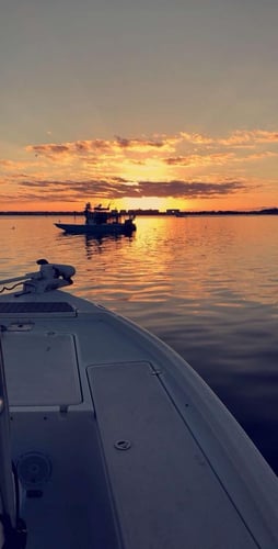 Nighttime Shark Trip in Holmes Beach