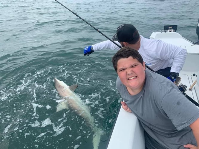 Nighttime Shark Trip in Holmes Beach