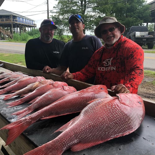 St. Bernard Red Snapper Special In Saint Bernard