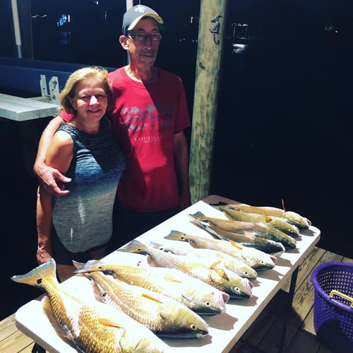 New Orleans Nighttime Bowfishing In Saint Bernard