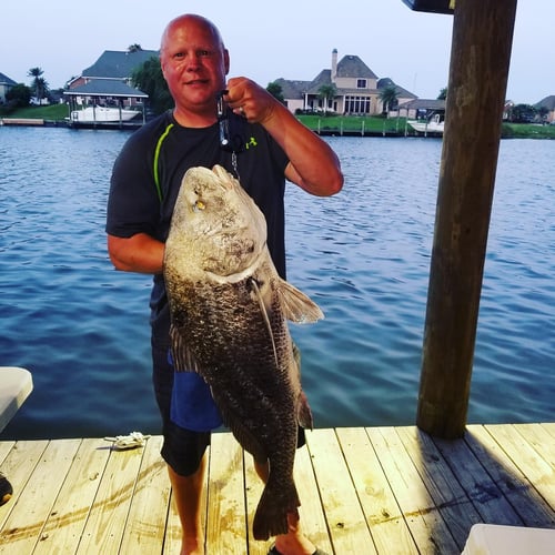 New Orleans Nighttime Bowfishing In Saint Bernard