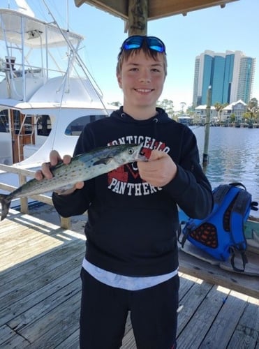 Inshore Targets, Nearshore Trolling In Orange Beach