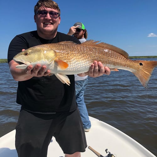 New Orleans Bowfishing & Angling In Saint Bernard