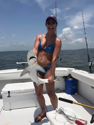 Gulf Stream Trolling In Hilton Head Island