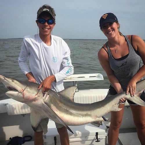 Gulf Stream Trolling In Hilton Head Island