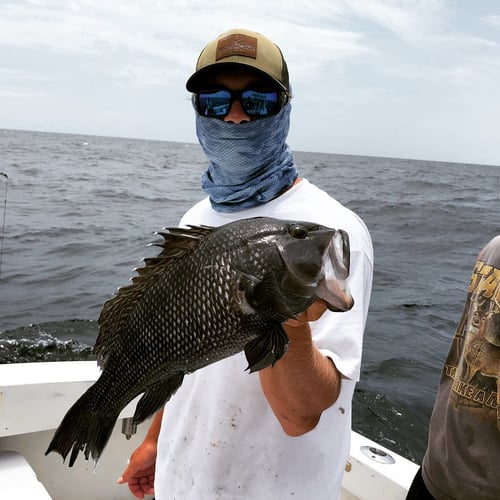 Gulf Stream Trolling In Hilton Head Island