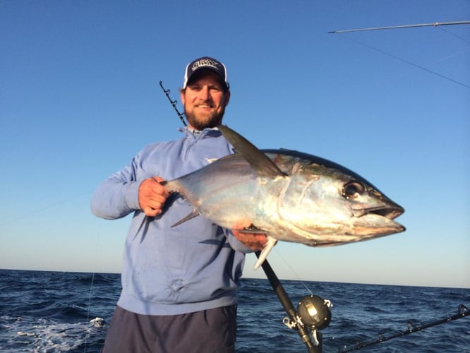 Gulf Stream Trolling In Hilton Head Island