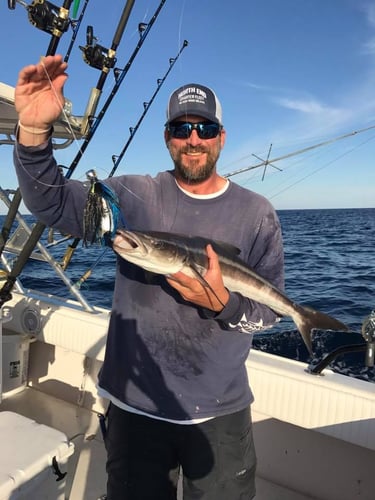 Gulf Stream Trolling In Hilton Head Island