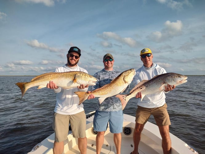 Nearshore Fly Fishing Adventure In Boothville-Venice