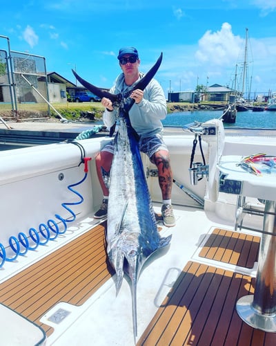 Kaua'i Quick Offshore Run In Lihue