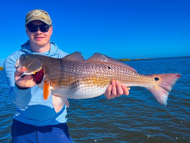 NOLA Coastal Fishing In New Orleans