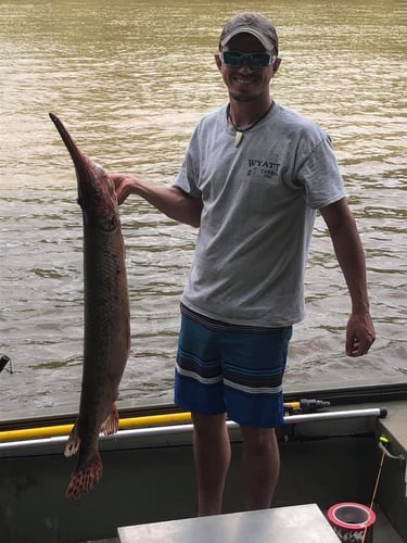 Daytime Bowfishing in Destin