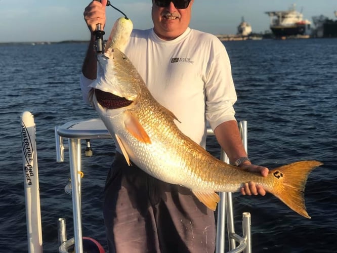 Inshore Intercoastal Slam In Jacksonville Beach