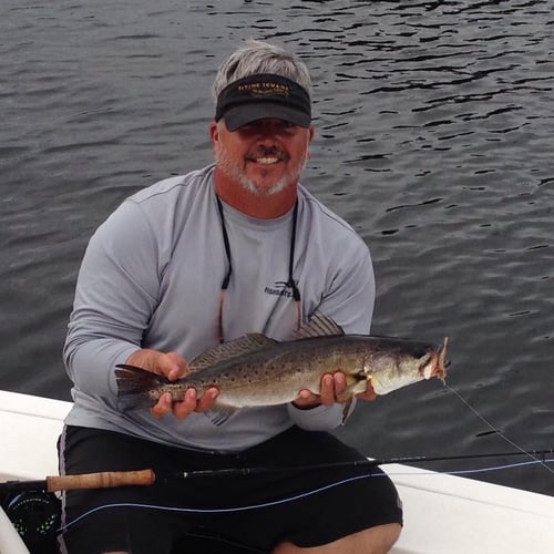 Inshore Intercoastal Slam In Jacksonville Beach