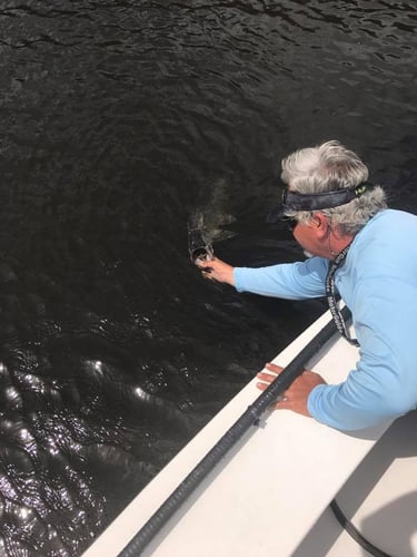 Inshore Intercoastal Slam In Jacksonville Beach
