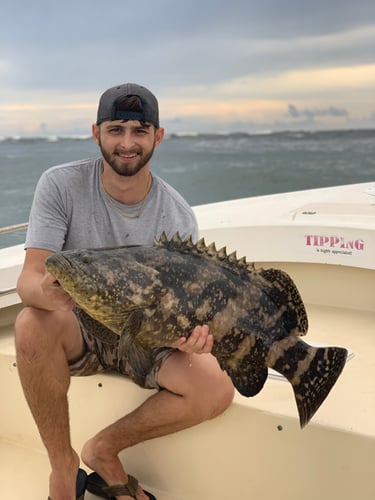 Sebastian Inlet On Light Tackle In Melbourne Beach