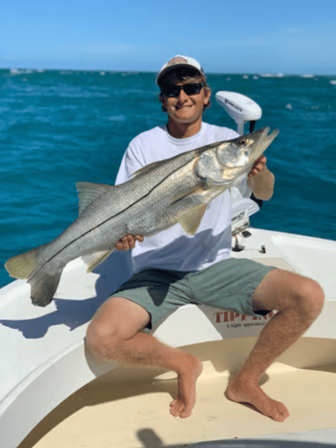 Sebastian Inlet On Light Tackle In Melbourne Beach