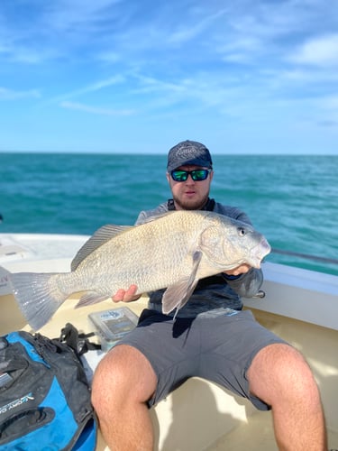 Sebastian Inlet On Light Tackle In Melbourne Beach