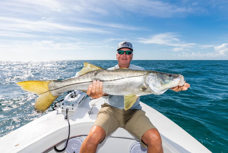 Estero Bay Backcountry In Cape Coral