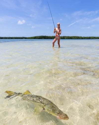 Estero Bay Backcountry In Cape Coral