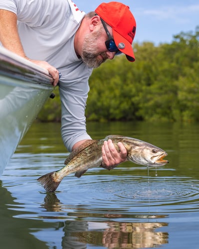 Estero Bay Backcountry In Cape Coral