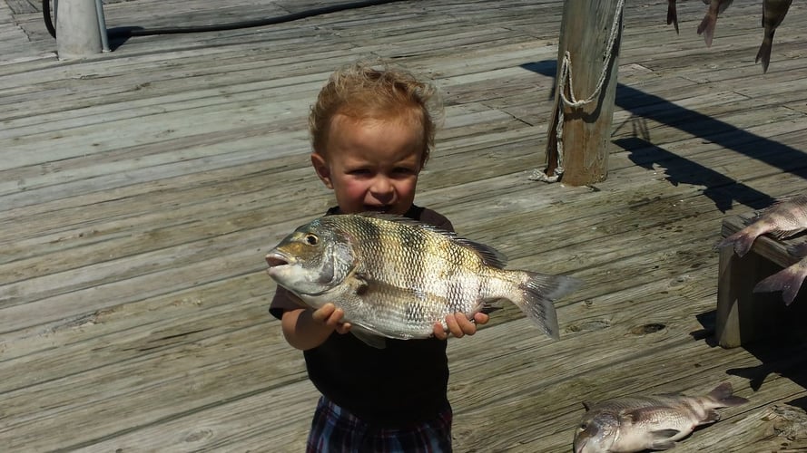 SPI "All About Fishing" Trip In South Padre Island