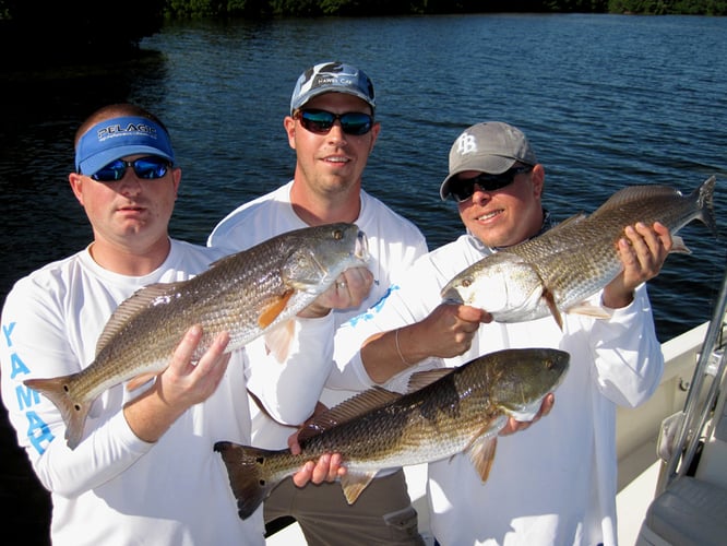 Tampa Bay Inshore Adventures In Tampa