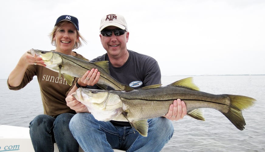 Tampa Bay Inshore Adventures In Tampa