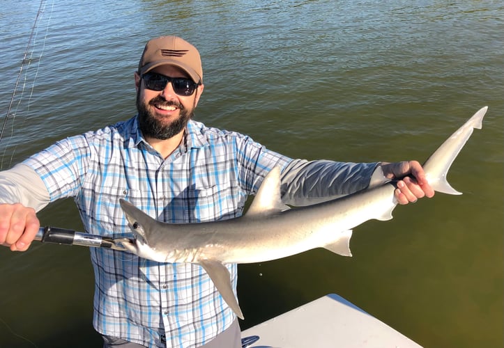 Tampa Bay Inshore Adventures In Tampa