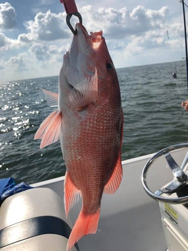 "Cajun Classic" Red Snapper Trip In Boothville-Venice