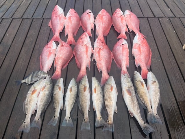 "Cajun Classic" Red Snapper Trip In Boothville-Venice