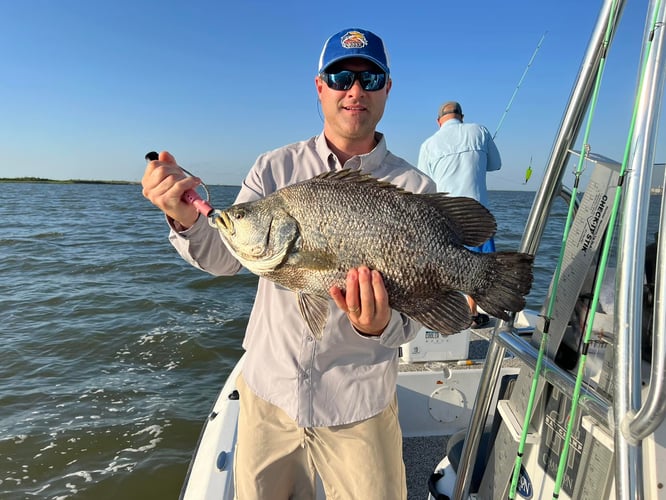 "Cajun Classic" Tripletail Trip In Buras