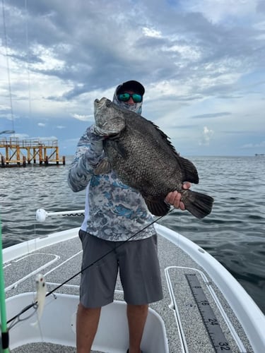 "Cajun Classic" Tripletail Trip In Buras