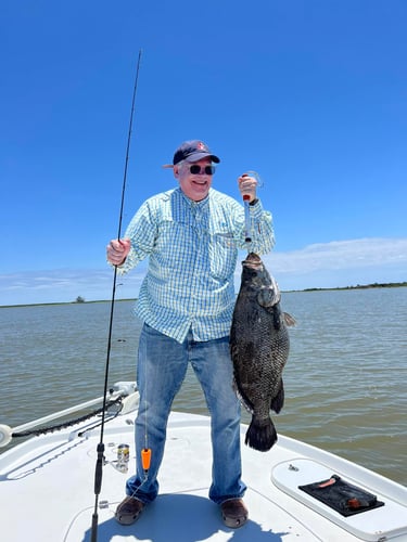 "Cajun Classic" Tripletail Trip In Buras