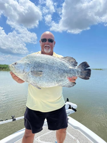 "Cajun Classic" Tripletail Trip In Buras