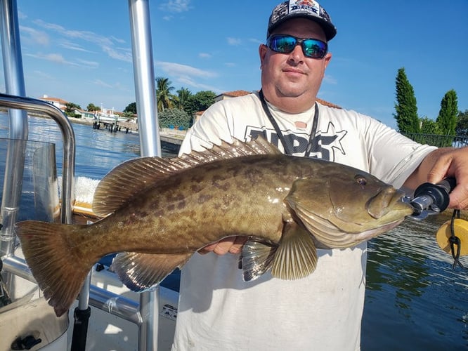 Nearshore Reef Run In St. Petersburg