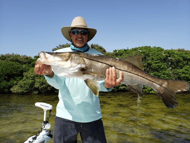 Tarpon Springs Special In Holiday