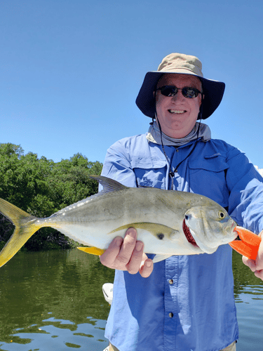 Tarpon Springs Special In Holiday