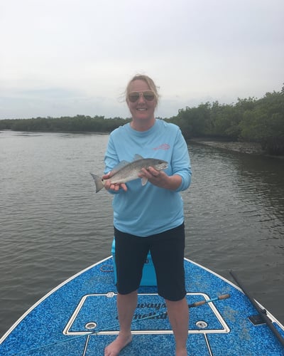 Daytona Beach Inshore Slam in Daytona Beach